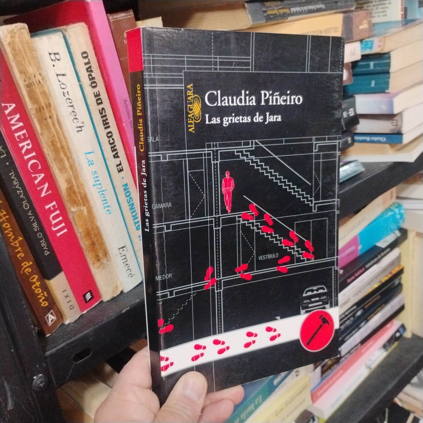 Las grietas de Jara - Claudia Piñeiro