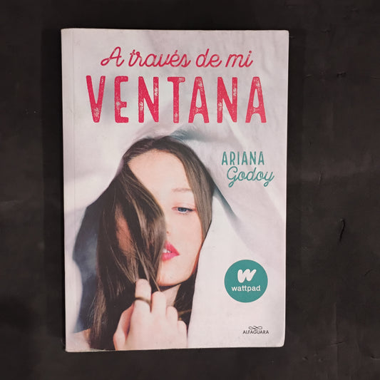 A través de mi ventana - Ariana Godoy