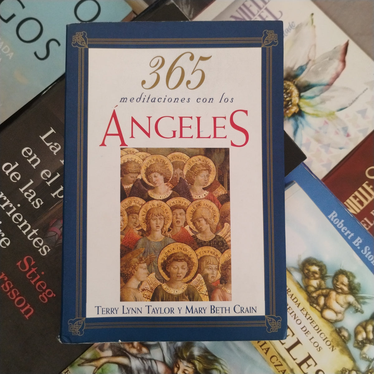 365 meditaciones con los ÁNGELES - Terry Lynn y Mary Beth Crain