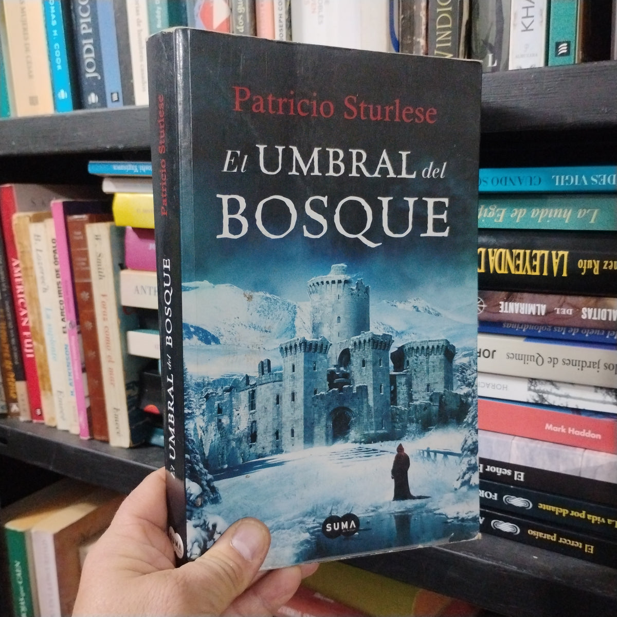 El umbral del bosque - Patricio Sturlese