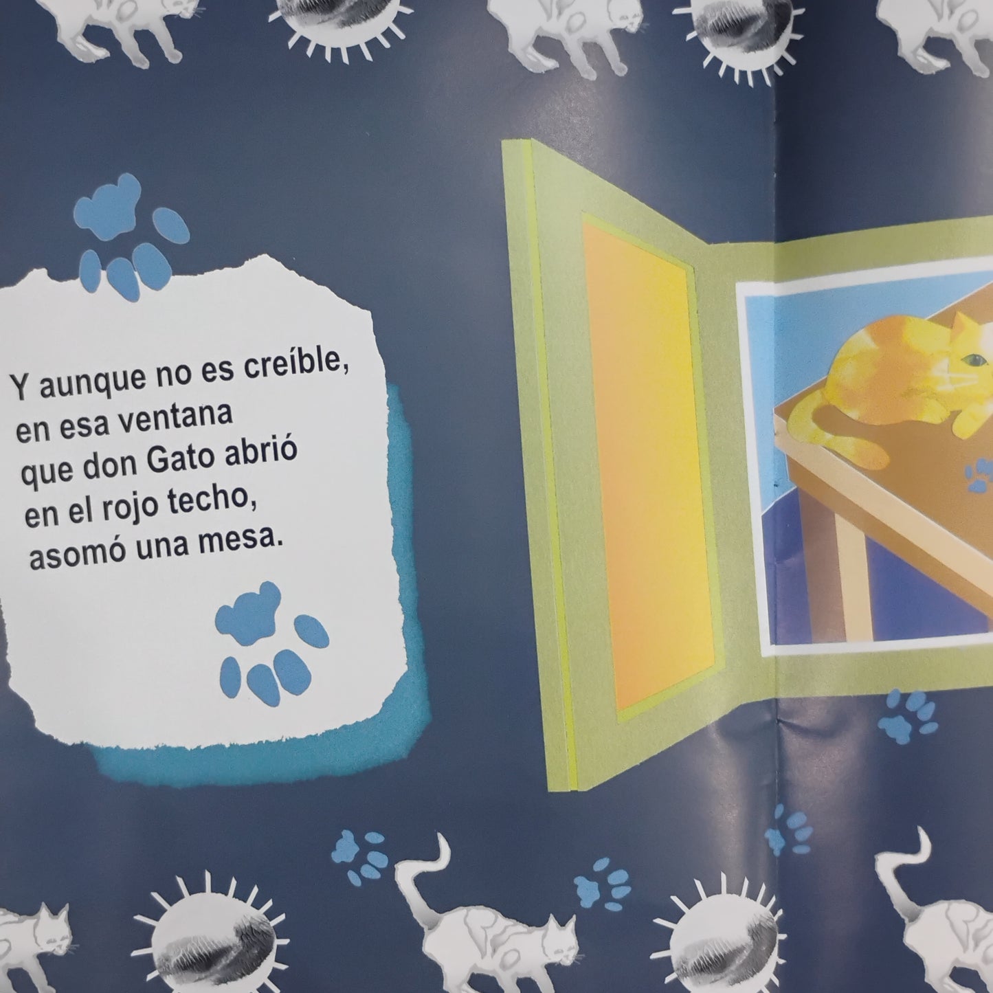 Don Gato abre ventanas - Sergio Lopez Suárez
