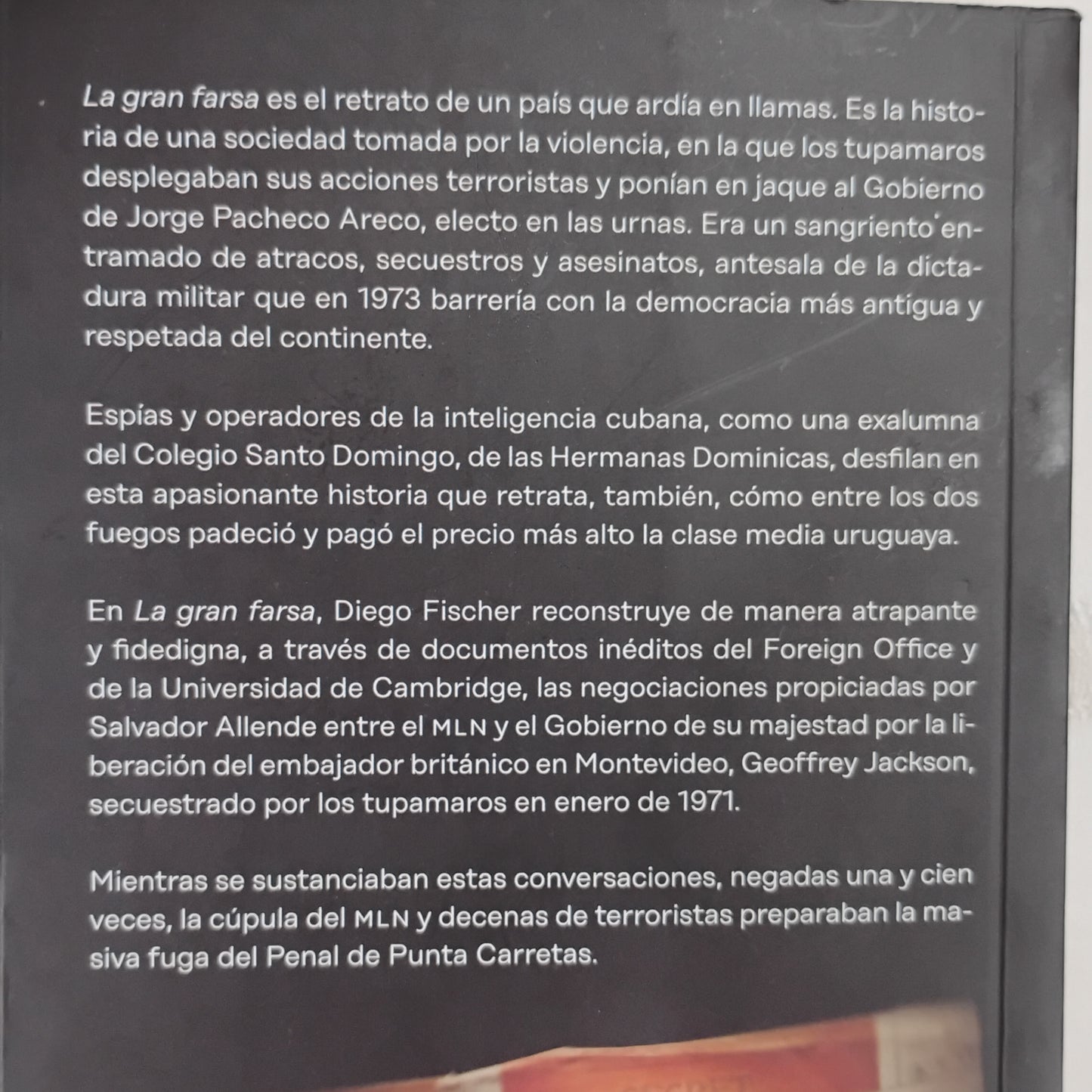 La gran farsa - Diego Fischer