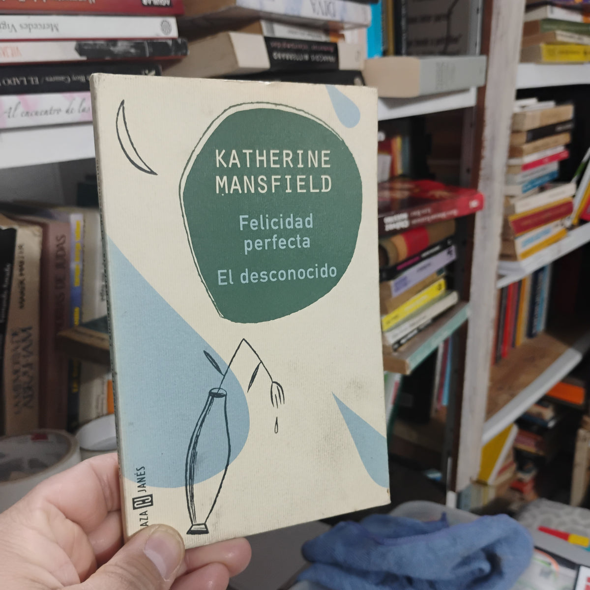 Felicidad perfecta. El desconocido - Katherine Mansfield