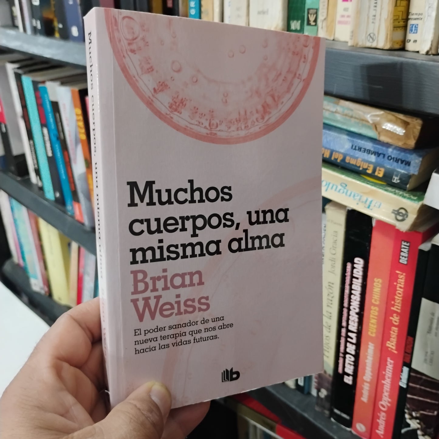 Muchos cuerpos, una misma alma - Brian Weiss