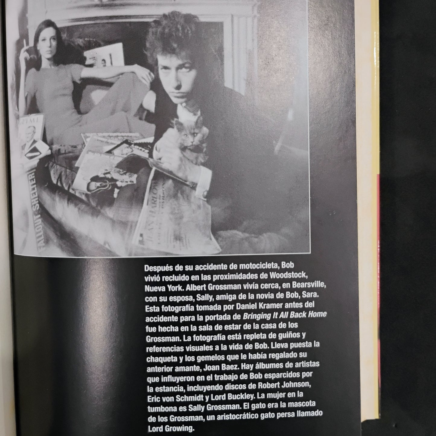 Bob Dylan. La Biografía. (edición ampliada) - Howard Sounes