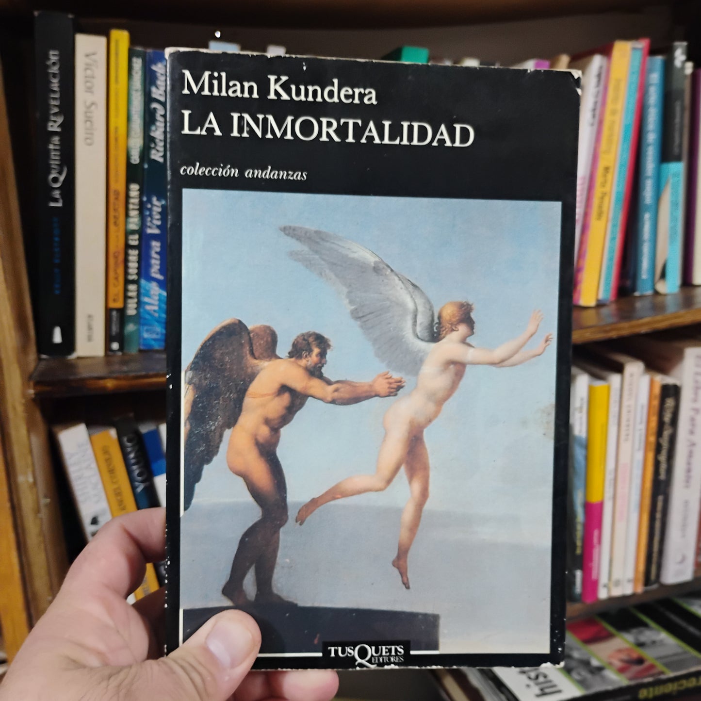 La inmortalidad - Milan Kundera