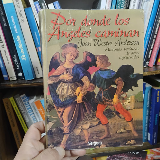 Por donde los ángeles caminan. Historias verídicas de seres espirituales - Joan Wester Anderson