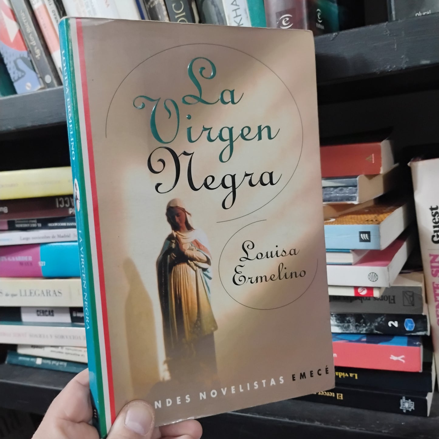 La virgen negra - Louisa Ermelino