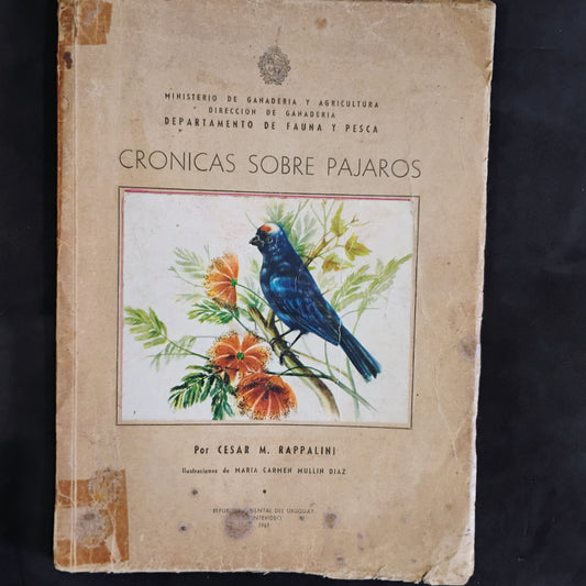 Crónicas sobre pájaros - César M. Rappalini. María Carmen Mullin Díaz (ilustraciones)