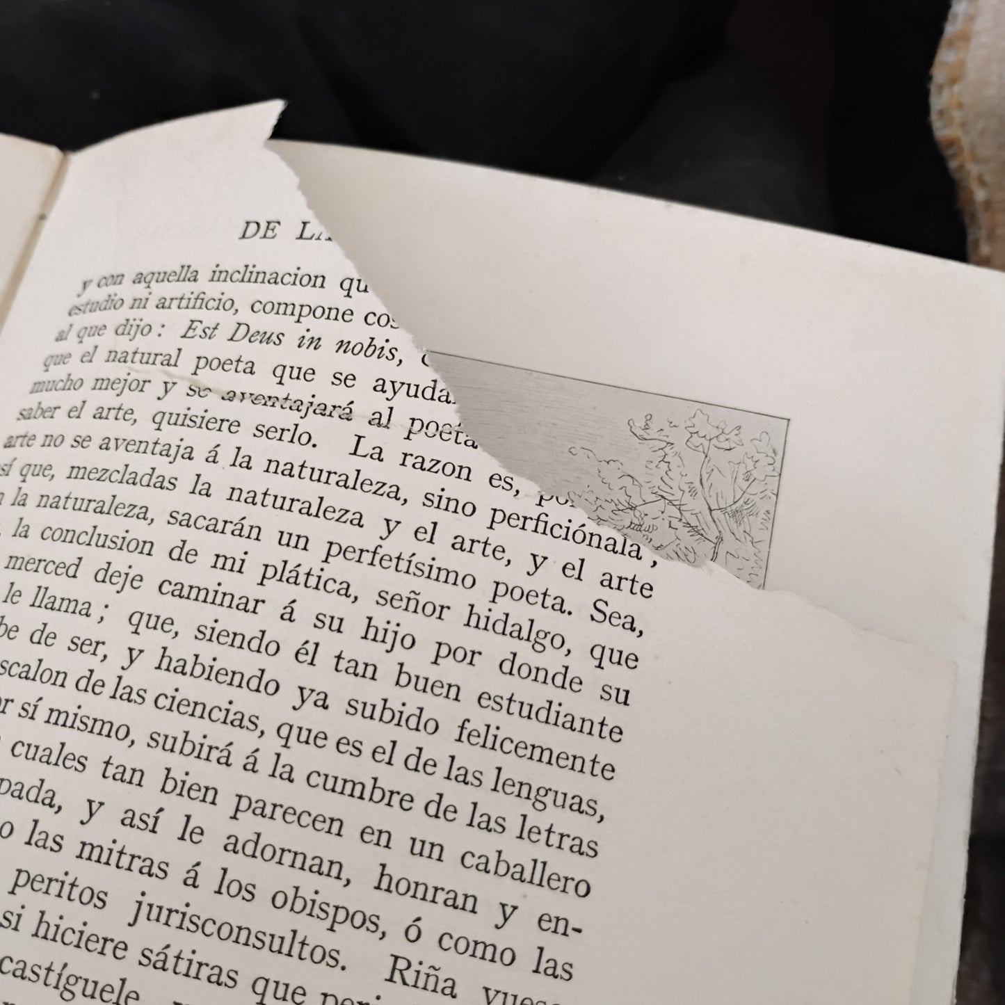 El ingenioso hidalgo Don Quijote de la Mancha - Miguel de Cervantes Saavedra