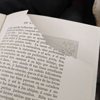 El ingenioso hidalgo Don Quijote de la Mancha - Miguel de Cervantes Saavedra
