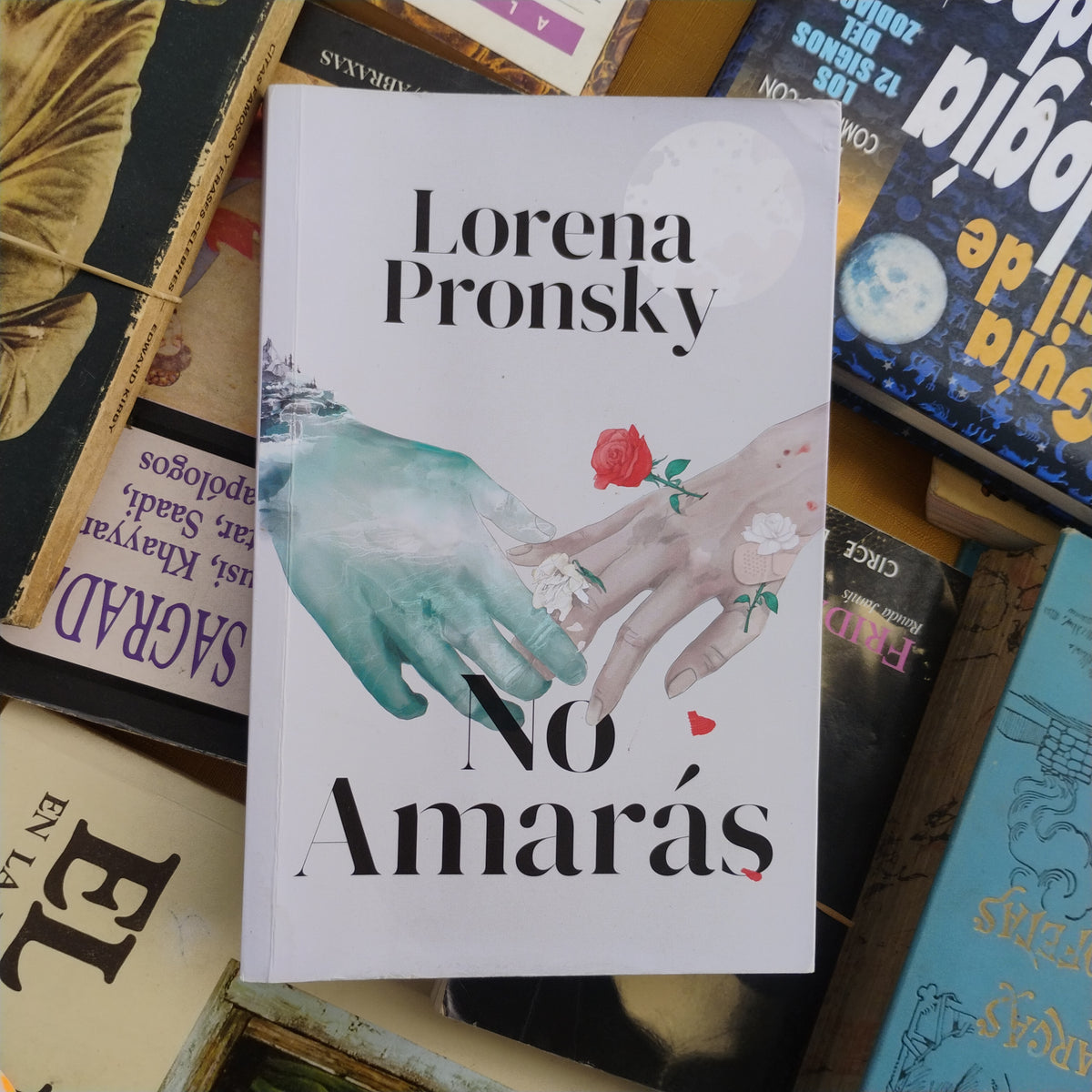No amarás - Lorena Pronsky