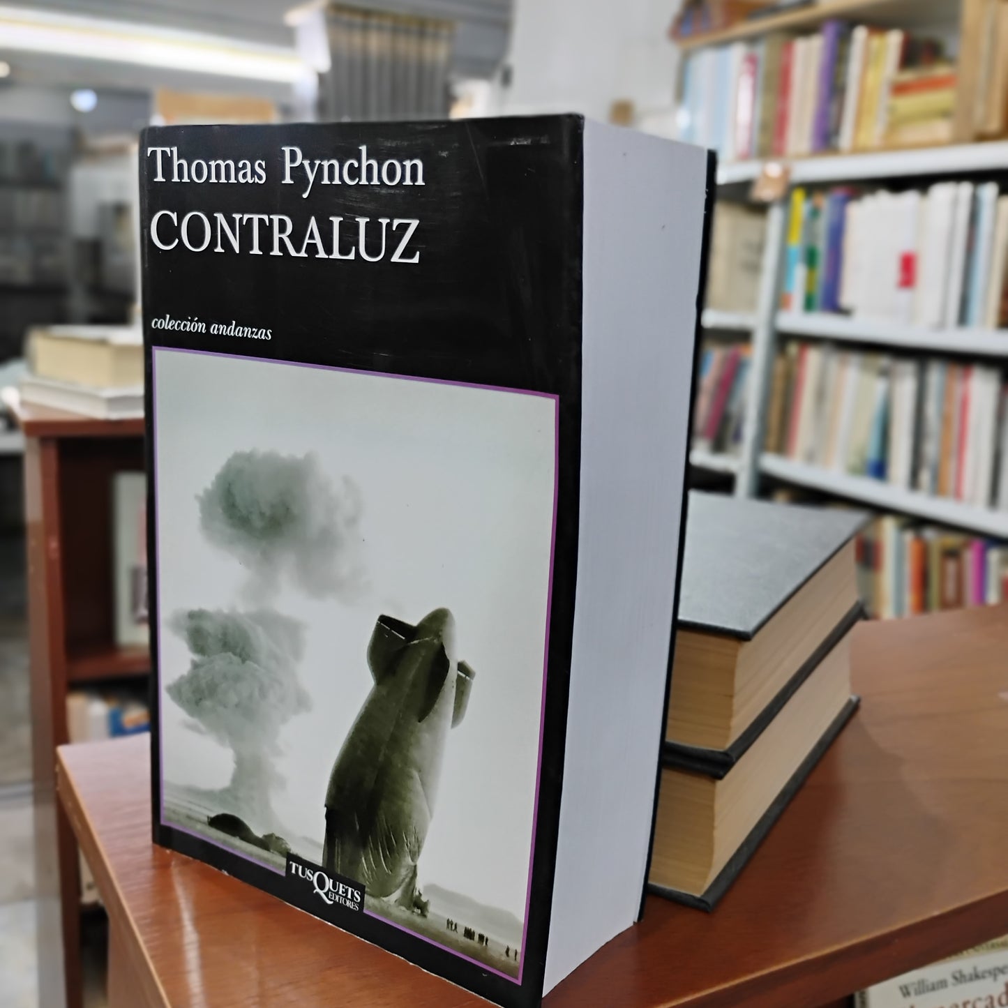 CONTRALUZ - Thomas Pynchon