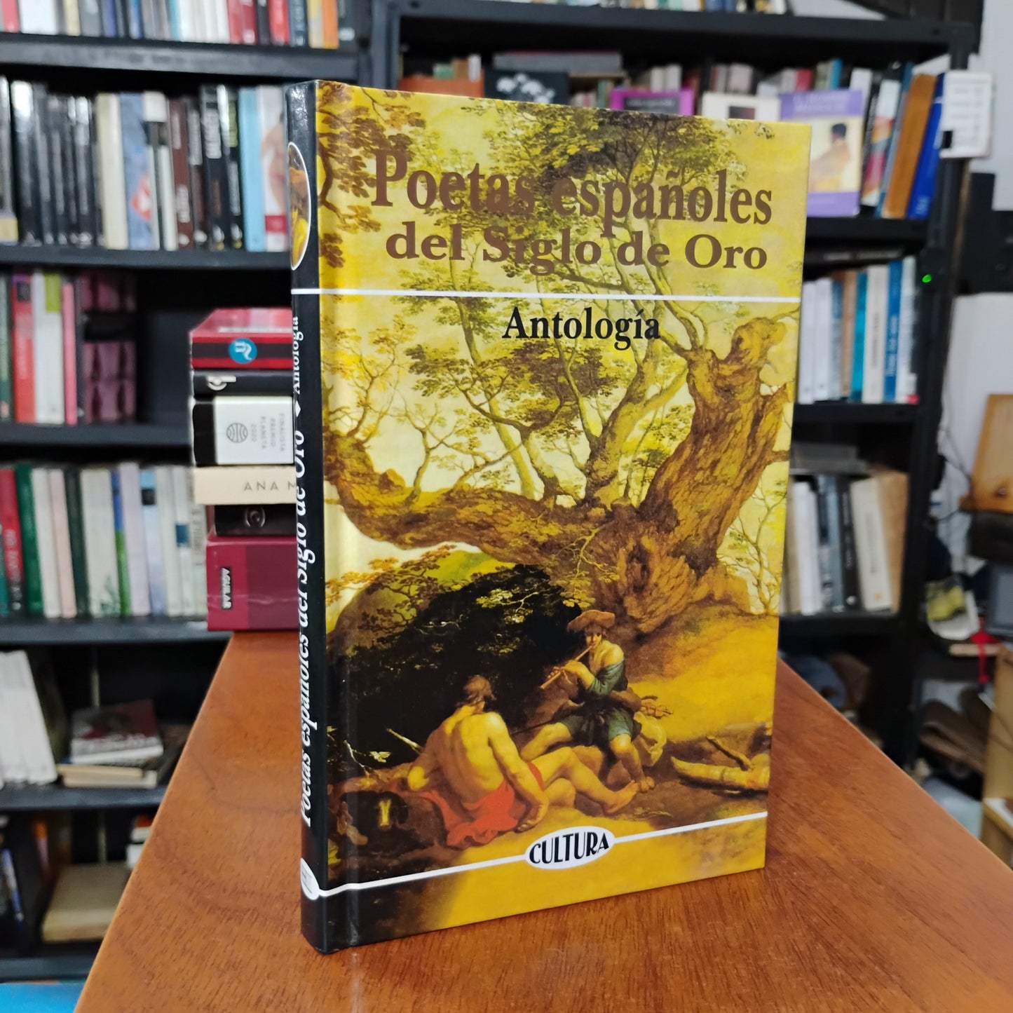 POETAS ESPAÑOLES DEL SIGLO DE ORO - ANTOLOGÍA