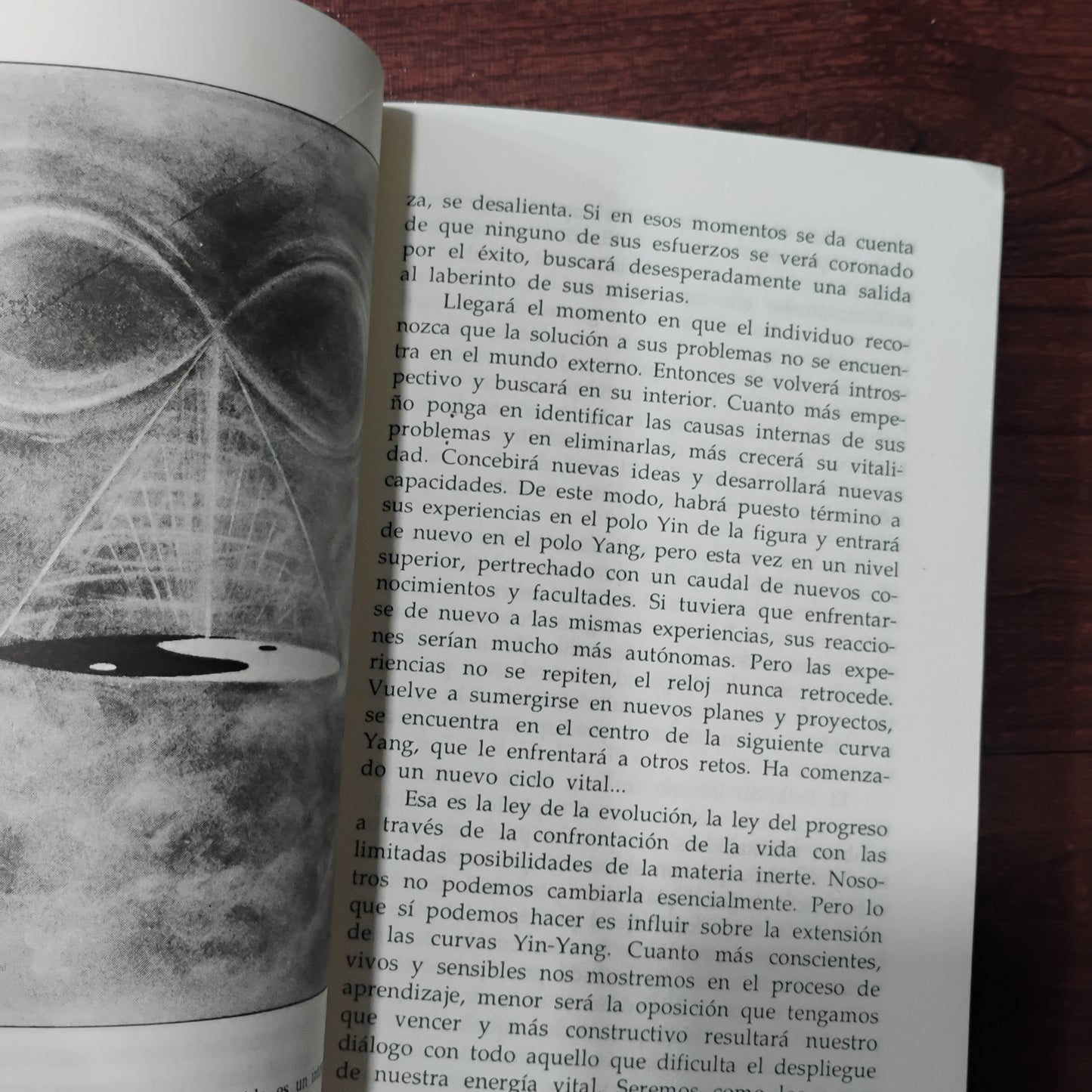 REIKI. Guía práctica para el sendero del amor curativo - Walter Lübeck