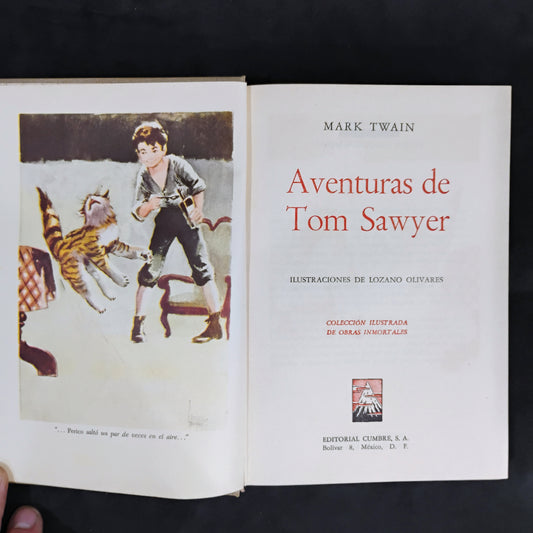 Aventuras de Tom Sawyer - Mark Twain