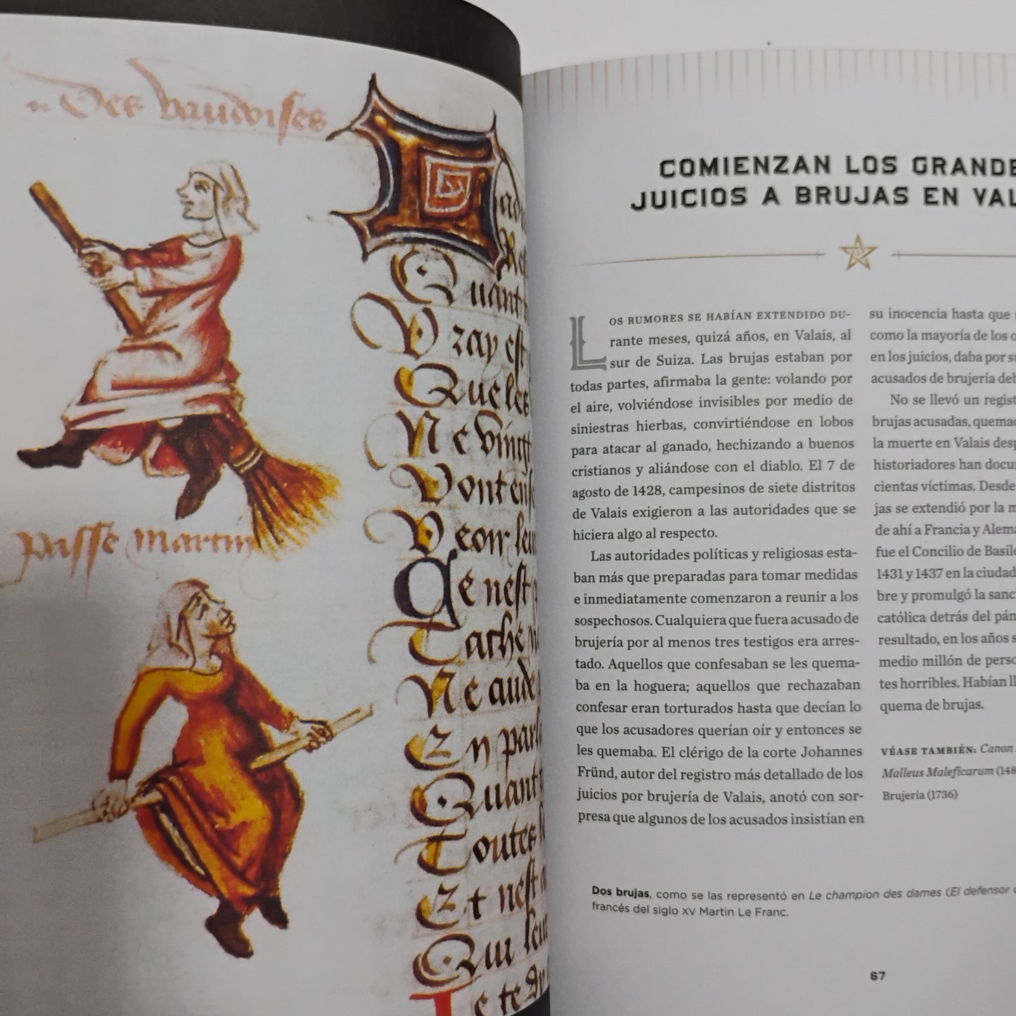 EL OCULTISMO. Un viaje cronológico desde la Alquimia hasta la Wicca - John Michael Greer