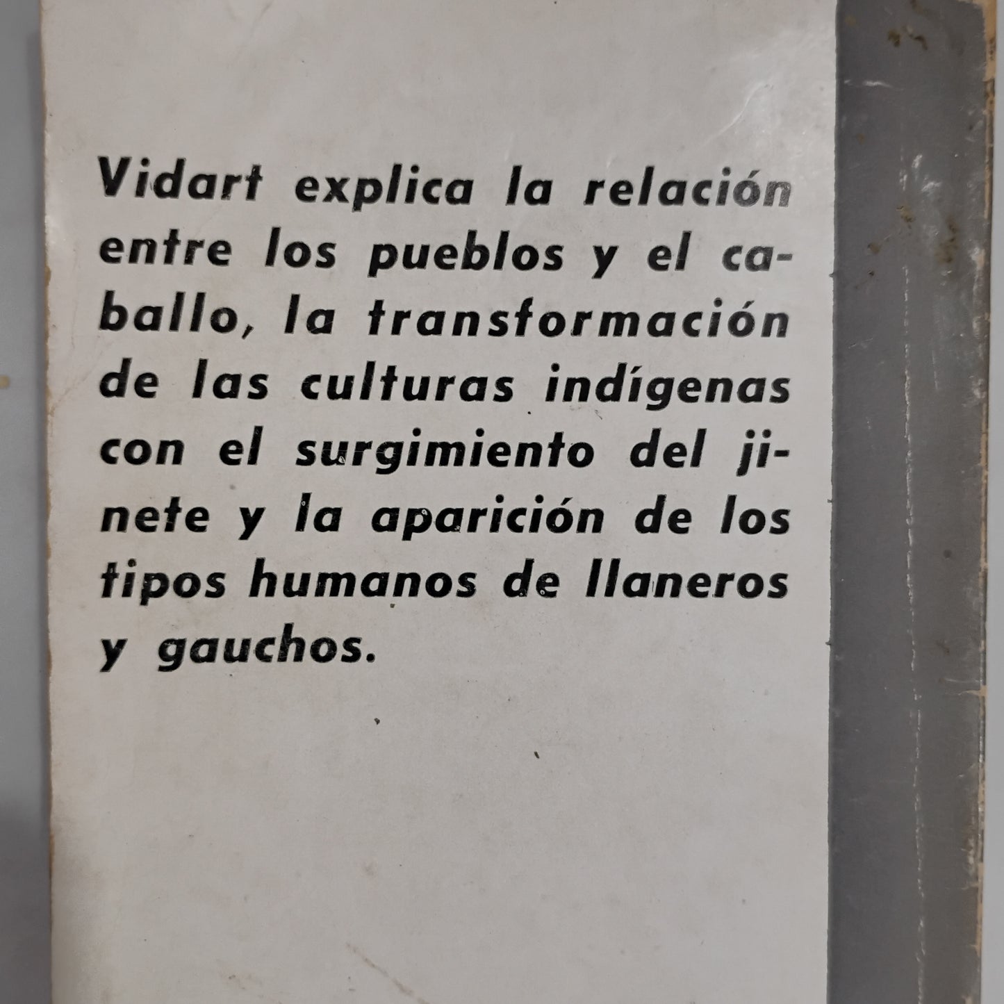 Caballos y jinetes - Daniel Vidart