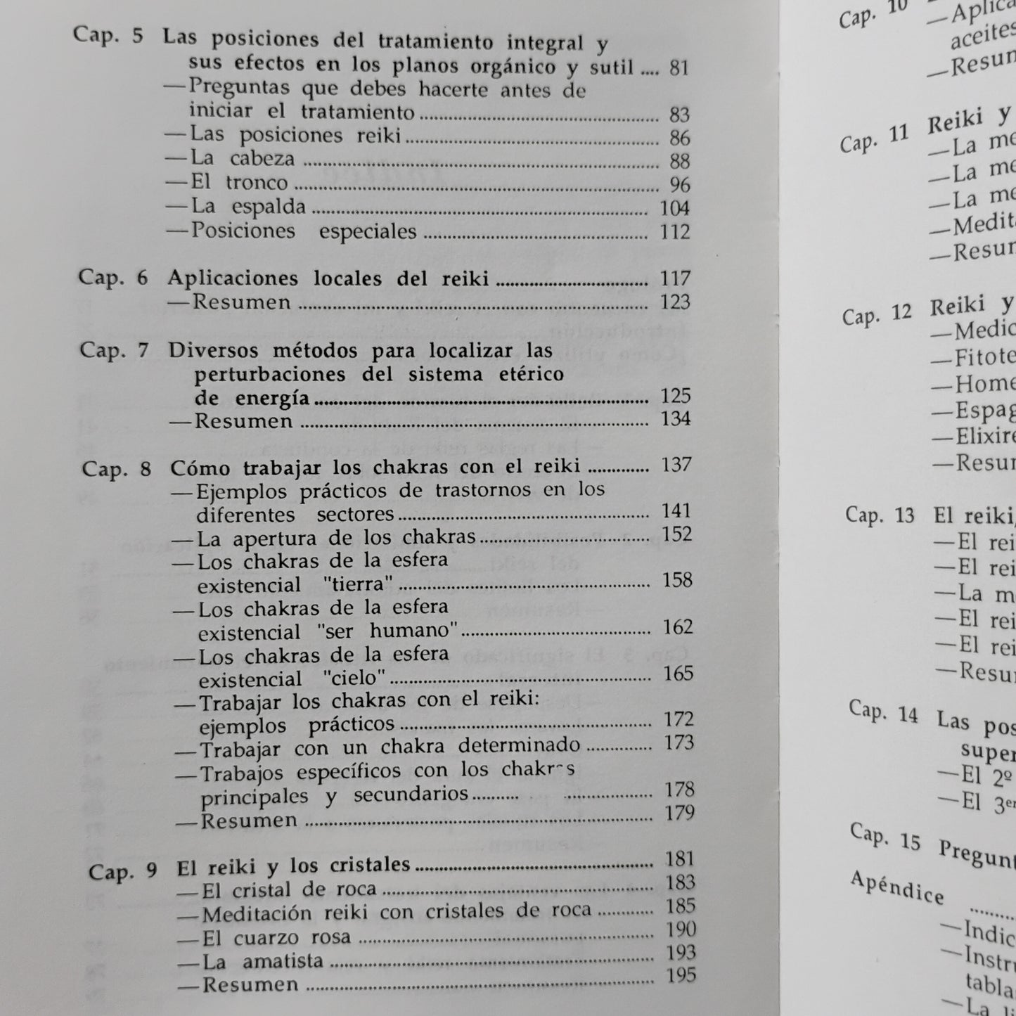 REIKI. Guía práctica para el sendero del amor curativo - Walter Lübeck