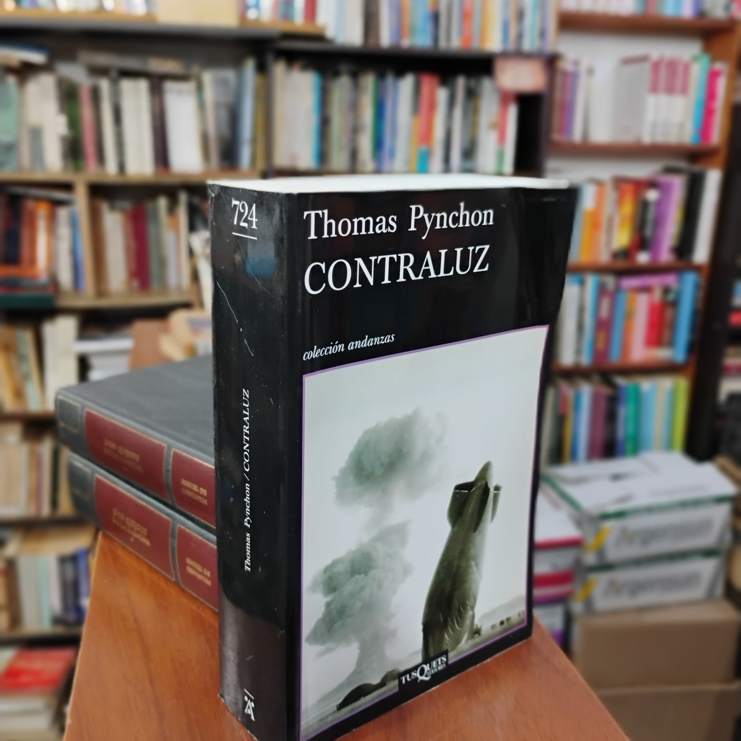 CONTRALUZ - Thomas Pynchon