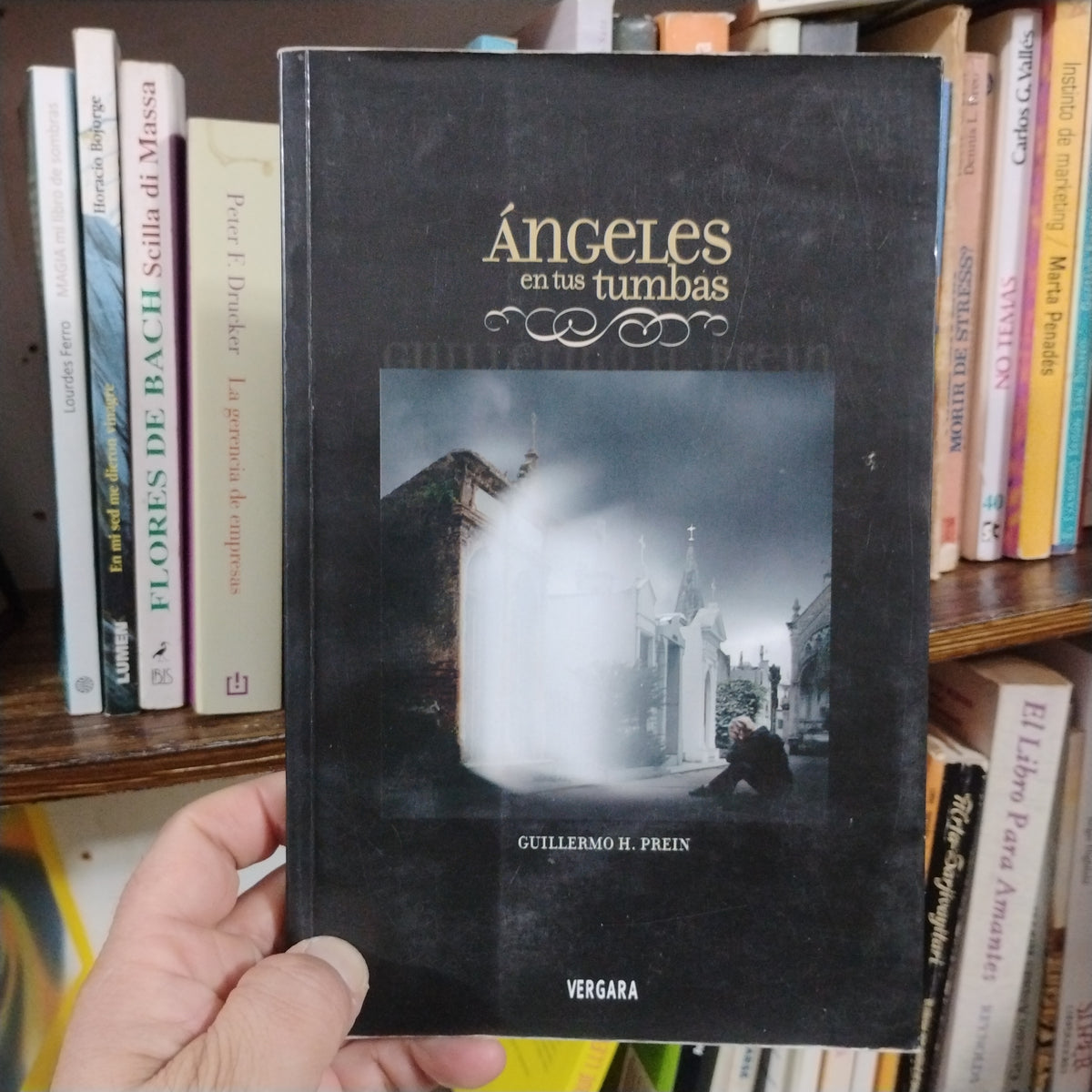 Ángeles en tus tumbas - Guillermo Prein