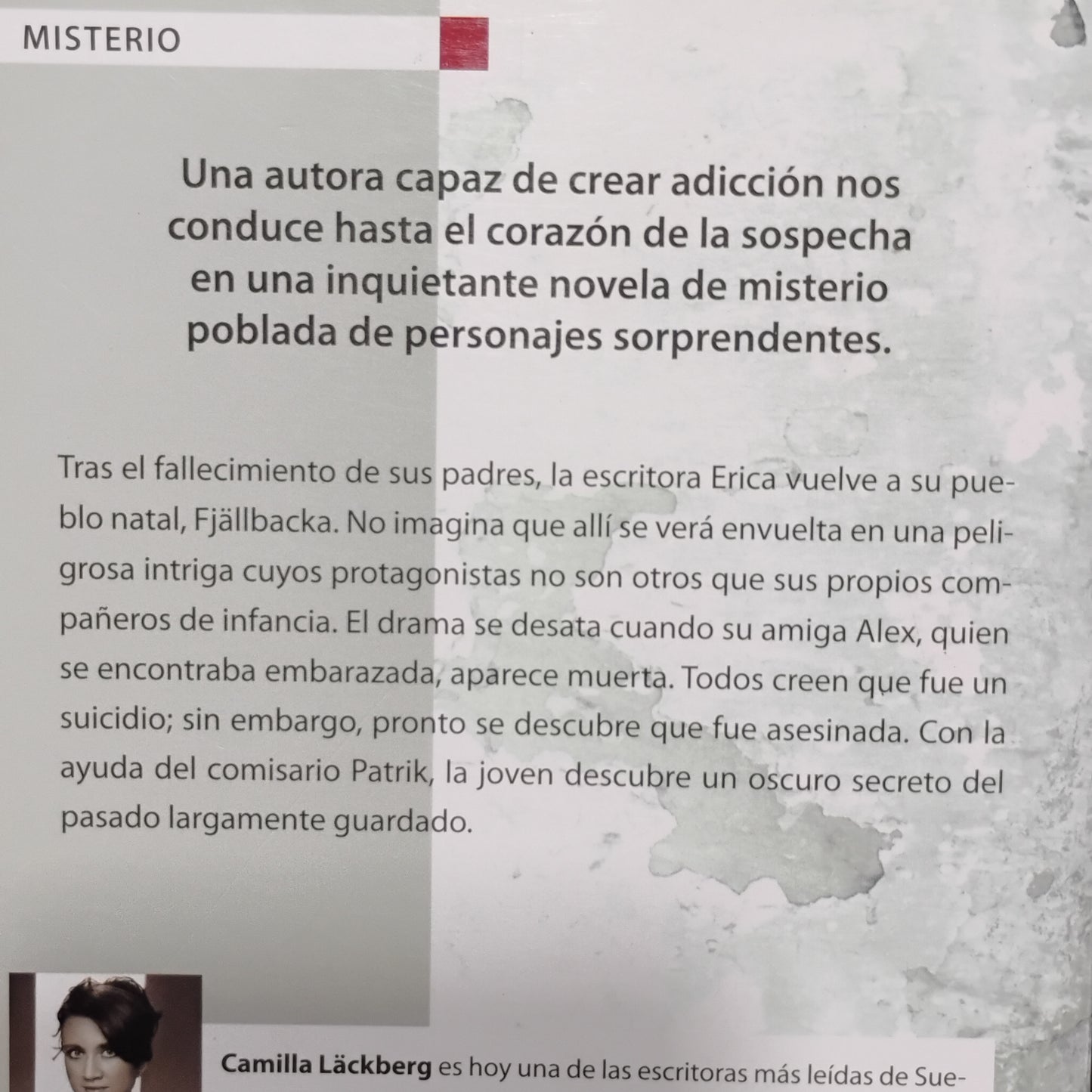 La princesa de hielo - Camila Läckberg