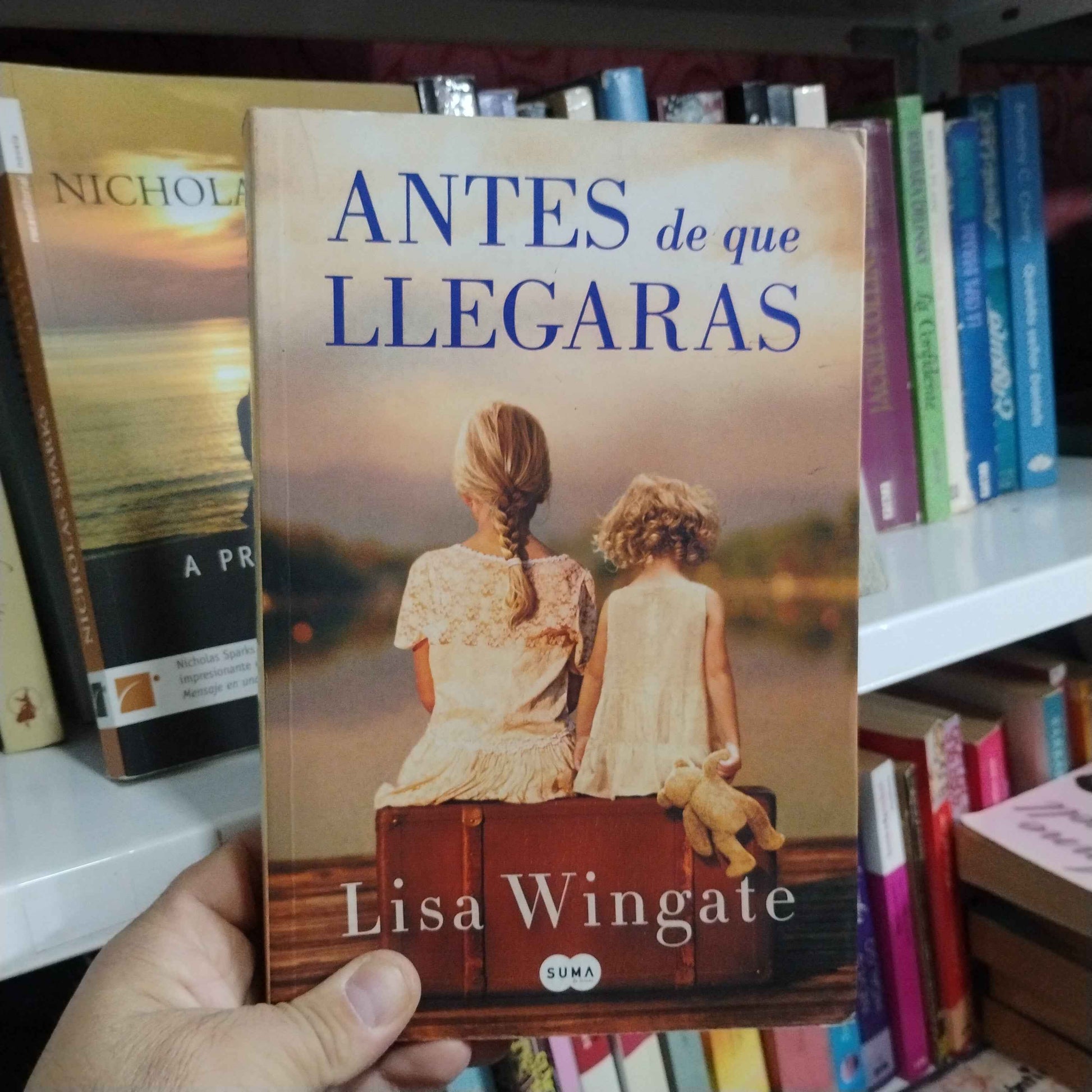Antes de que llegaras - Lisa Wingate
